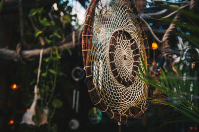 Close-up of spider web