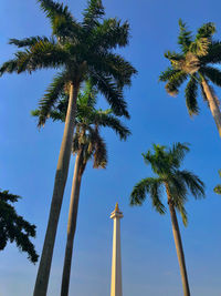 Low angle view of coconut palm trees against blue sky