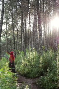 Rear view of woman walking in forest