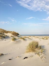 Amrum beach