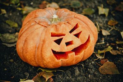 Close-up of pumpkin on autumn leaf