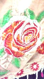 Full frame shot of roses