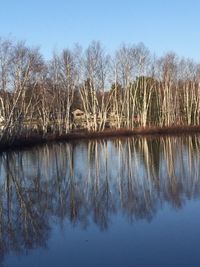 Reflection of trees in lake against sky