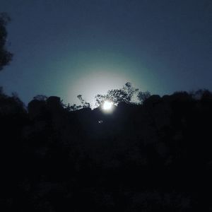 Low angle view of silhouette trees against sky at night