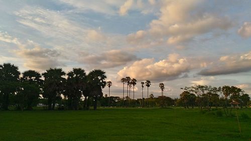 Scenic view of grassy field against cloudy sky