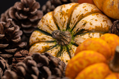 White gourd, pumpkins and pine cones