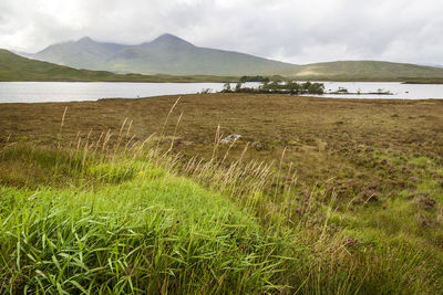 Scenic view of land and mountains against sky