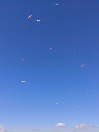 Low angle view of birds flying against blue sky