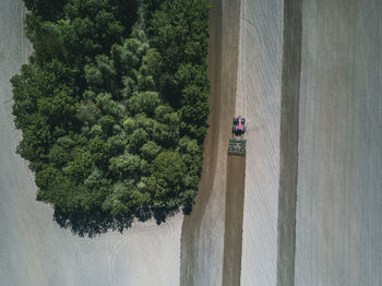 High angle view of people on road by trees