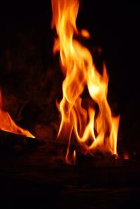 Close-up of bonfire at night