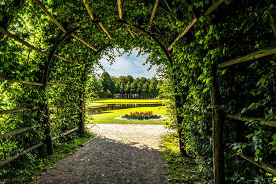 Footpath amidst trees in park