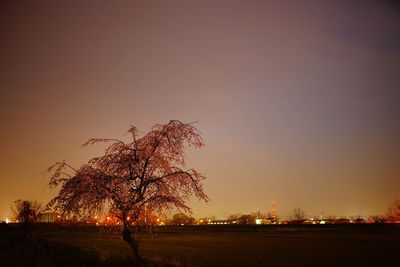 Silhouette tree against sky during sunset