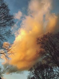 Low angle view of bare trees against cloudy sky