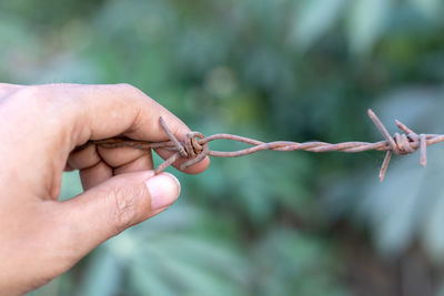 Close-up of hand holding rusty barbed wire