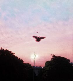 Low angle view of silhouette birds flying against sky