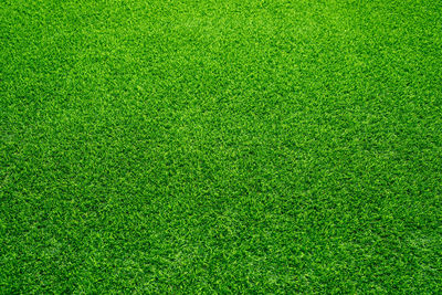 Lawn at home increase green space increase oxygen, reduce glare 