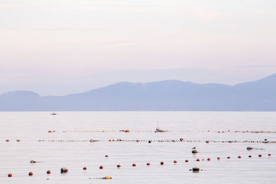 Fishing nets floating in river against clear sky during sunset