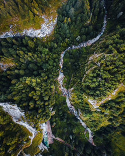 Aerial views with the deep forests covering the carpathians, romania.