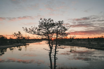 The great kemeri bog
