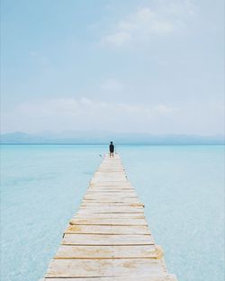 Rear view of man standing on jetty against sea
