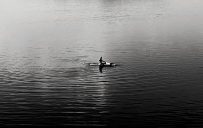 Ducks swimming in lake