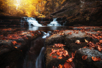 View of waterfall in forest during autumn