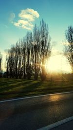 Silhouette of trees on landscape