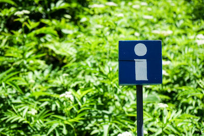 Close-up of road sign against plants