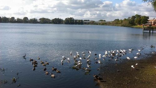 Scenic view of lake against sky