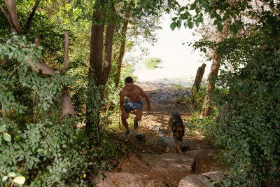 Rear view of men walking in forest