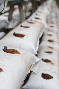 Close-up of bread