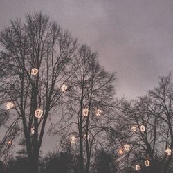 Bare trees against sky