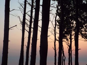 Silhouette trees against clear sky