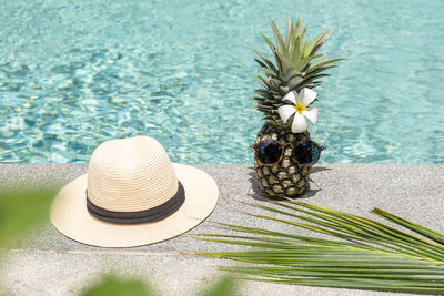 Close-up of plants by swimming pool