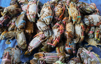 Full frame shot of fish for sale