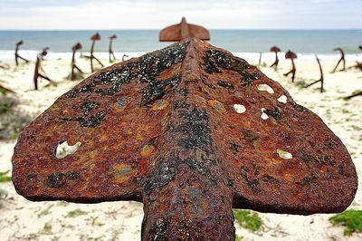 Close-up of butterfly perching on sand at beach against sky