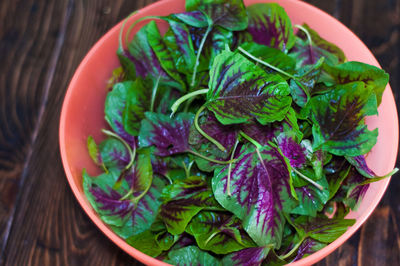 Fresh leafy purple-green spinach in a bowl on the wooden table.