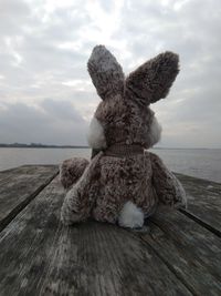 Stuffed toy on wood against sky