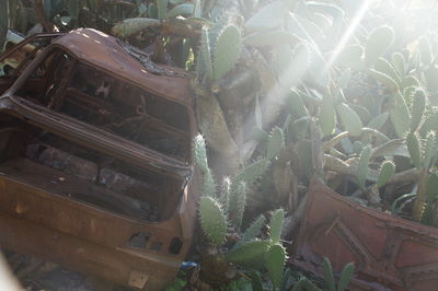 Close-up of abandoned truck on field