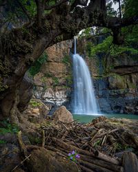 Scenic view of waterfall in forest