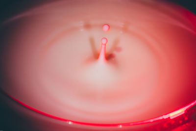 Close-up of water drop