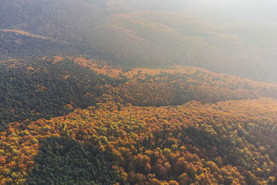 environment