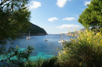 Scenic view of bay against sky