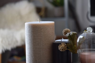 Close-up of potted plant on table