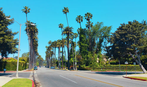 Road amidst trees against sky in city