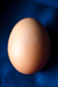 Close-up of egg in plate