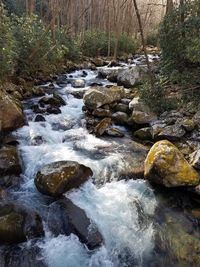 River flowing through rocks in forest