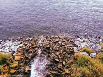 High angle view of pebble beach