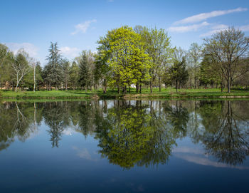 Scenic view of lake by trees against sky