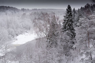 Scenic view of waterfall in forest during winter